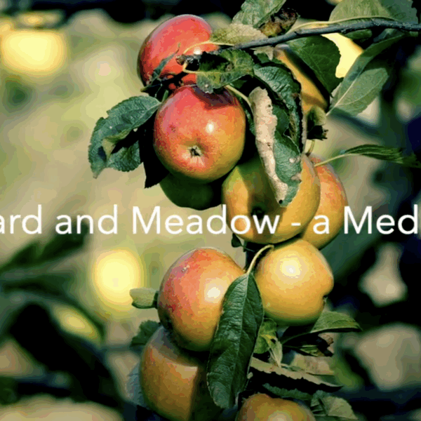 Meadow and Orchard Meditation